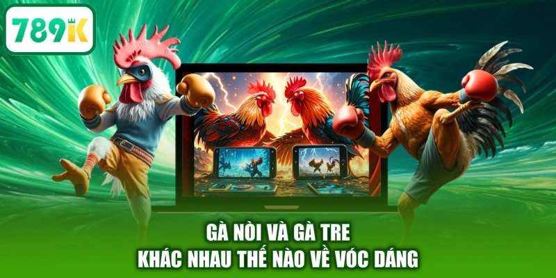 Gà nòi và gà tre khác nhau thế nào về vóc dáng