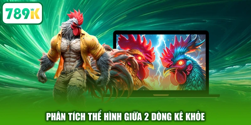Phân tích thể hình giữa 2 dòng kê khỏe